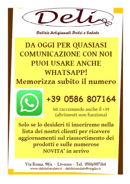 Newsletter (WhatsApp)