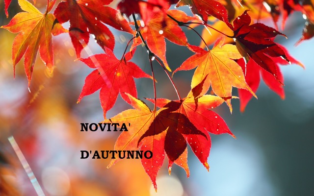 FOGLIE autunno