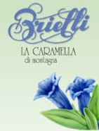 Logo Brielli