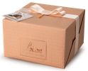 Panettone NeroSale