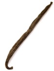 Vaniglia bacca
