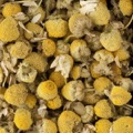 Camomilla