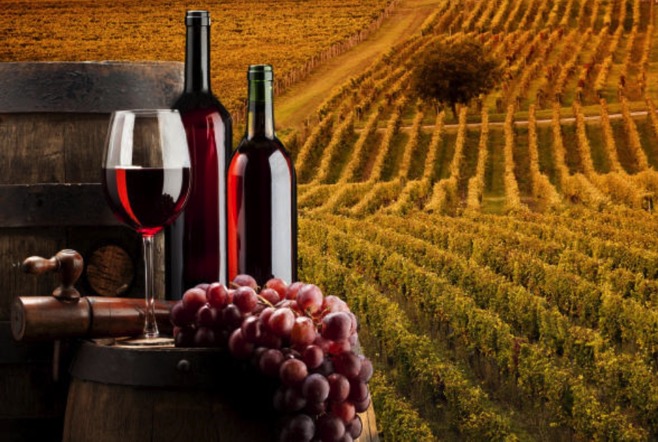 Vino