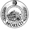 Logo Morelli