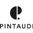 Logo Pintaudi